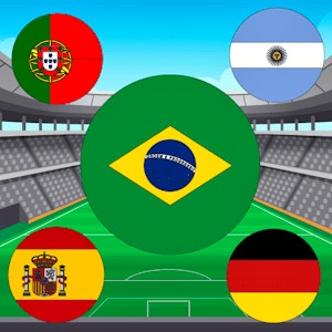 World Cup Flag Match